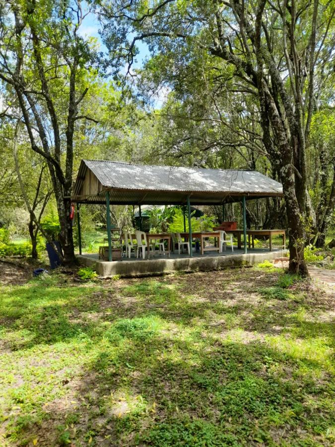 Leruk Maasai Mara Camp Hotel Sekenani Екстериор снимка