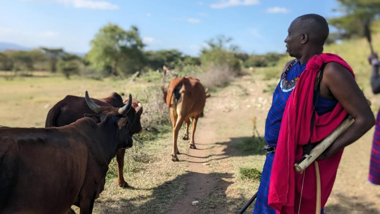 Leruk Maasai Mara Camp Hotel Sekenani Екстериор снимка